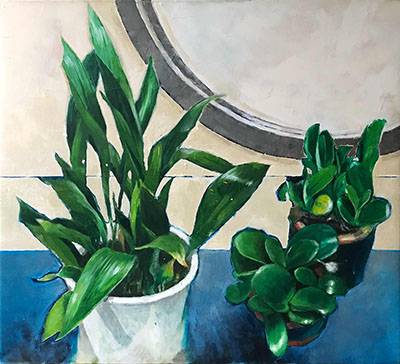 Schusterpalme (Aspidistra)